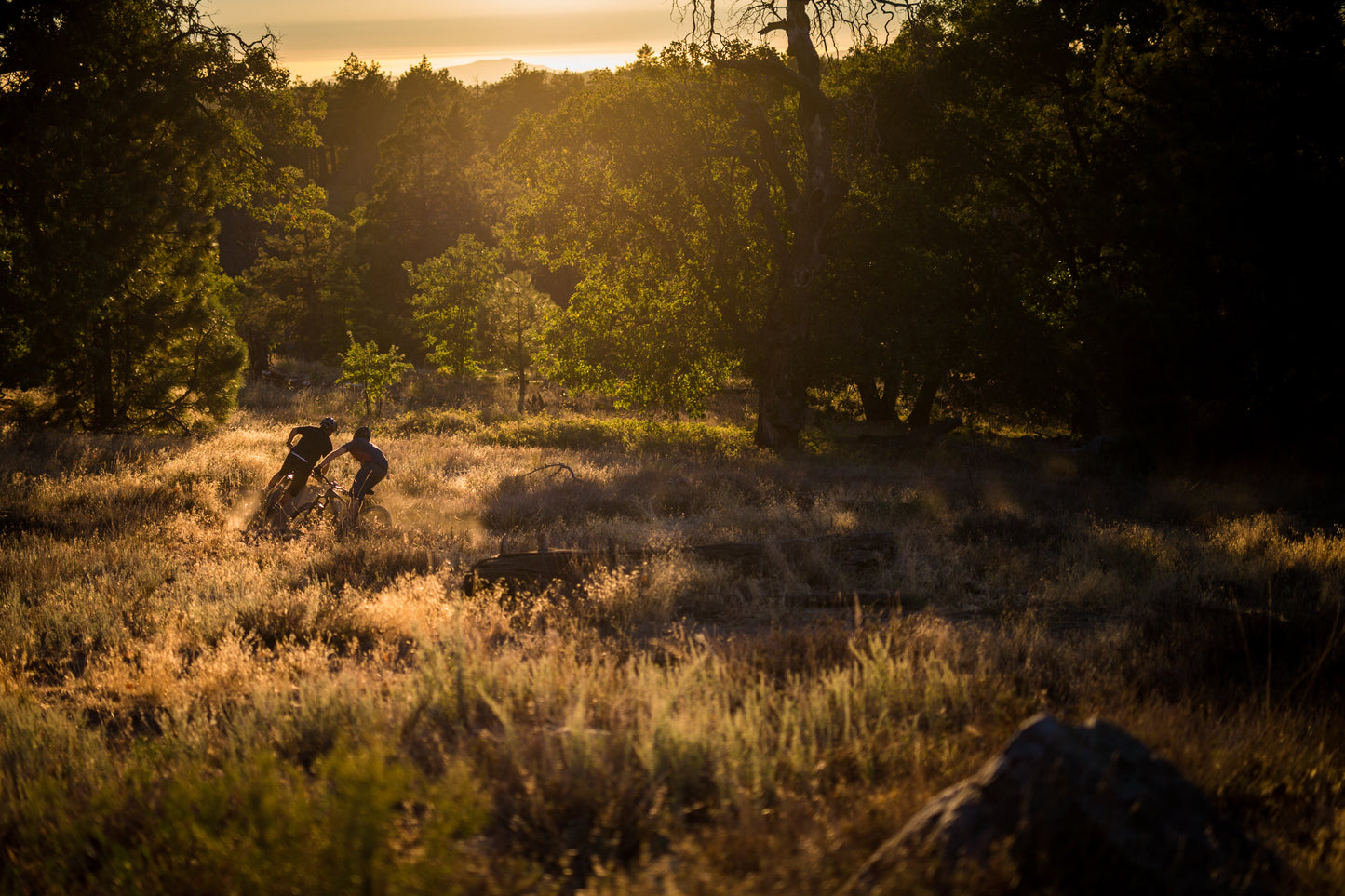 San Diego Mountain Bike Tours